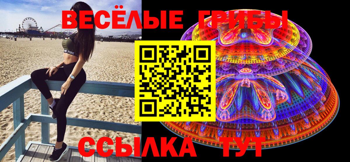 Псилоцибиновые грибы Psilocybine cubensis Обь